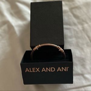 Alex and Ani light and dark bronze cuff bracelet